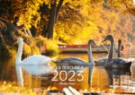 Kalendář Řeka Berounka 2023, foto: Martin Spal