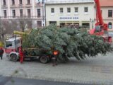 Vánoční strom pro Rokycany, zdroj: FB Město Rokycany