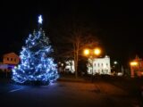 Vánoční strom v Blovicích, foto: Město Blovice