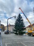 Vánoční strom v Klatovech, foto: Město Klatovy