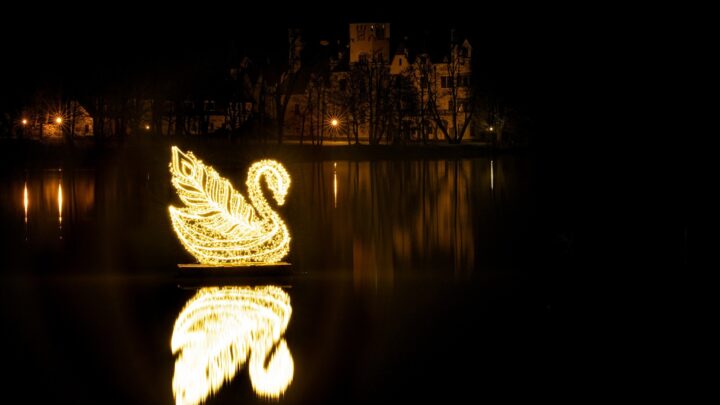 Na rybníce v Žinkovech se objevila svítící labuť