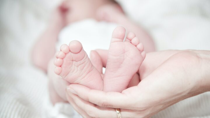 Téměř 1400 dětí se vloni narodilo v porodnicích krajských nemocnic