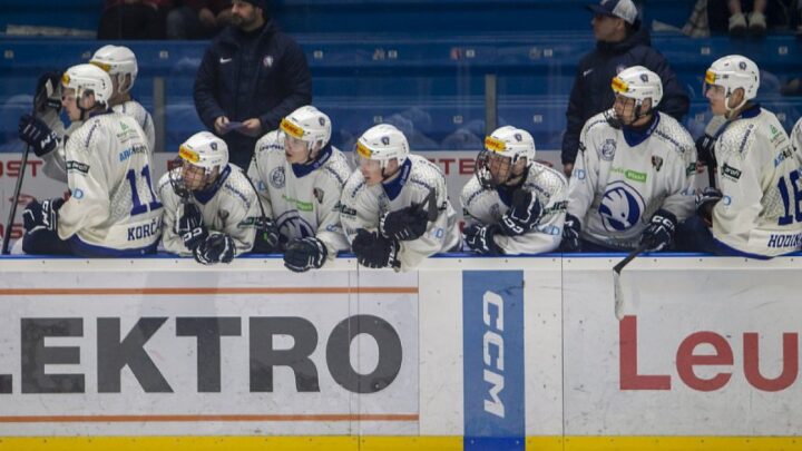 Draft není jen v NHL. Hned čtyři plzeňští hokejisté draftováni do juniorské CHL v prvním kole