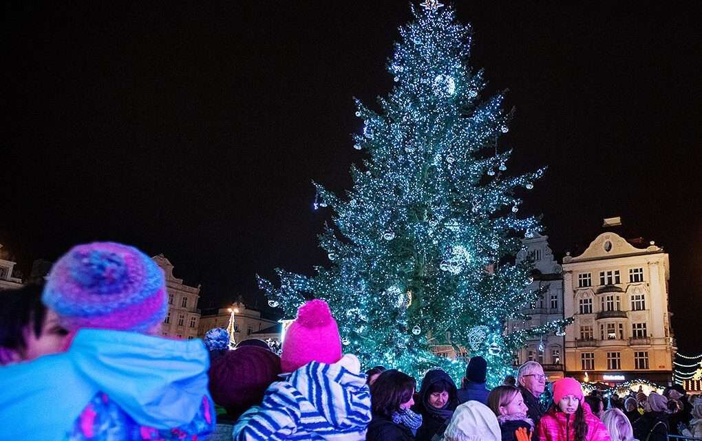 Ochlazení v horku: Plzeň hledá vánoční strom