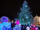 Vánoční strom na plzeňském náměstí Republiky, zdroj foto: město Plzeň