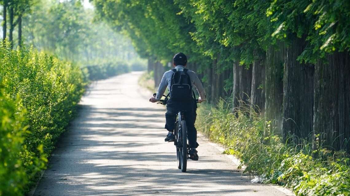Na výlet na kole: Cyklotoulky po Plzni a severním Plzeňsku