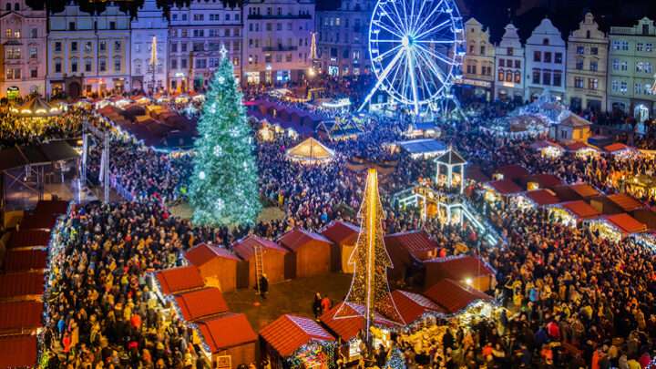Vánoční strom pro Plzeň zatím roste pár kilometrů za městem