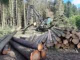 Těžba dřeva v Cháchově, zdroj foto: město Rokycany