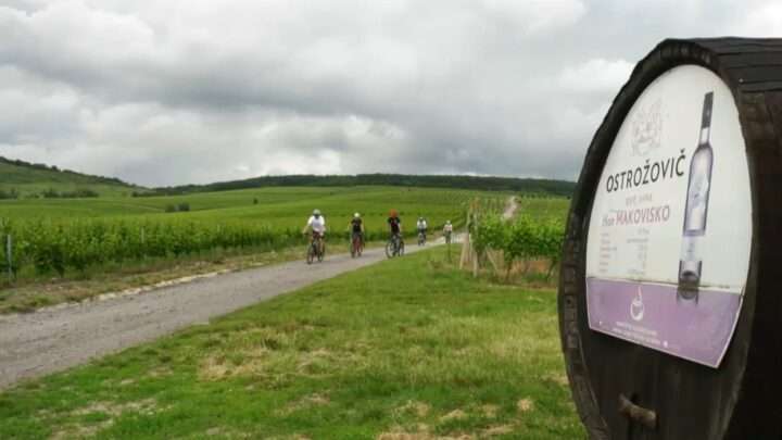 Cyklotoulky: Tokajská vinná cesta