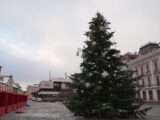 Vánoční strom v Rokycanech, zdroj foto: město Rokycany