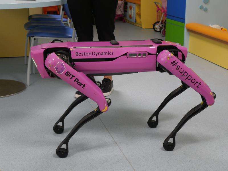 Robopes pomáhá uzdravovat děti