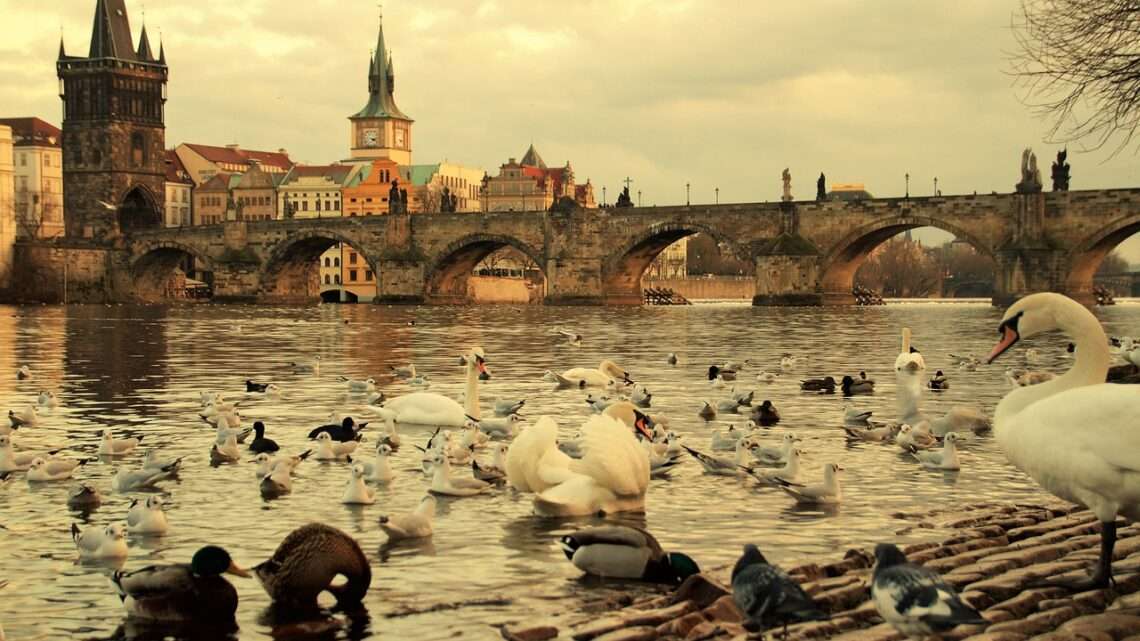 Kvíz: Poznáte české řeky na fotkách?