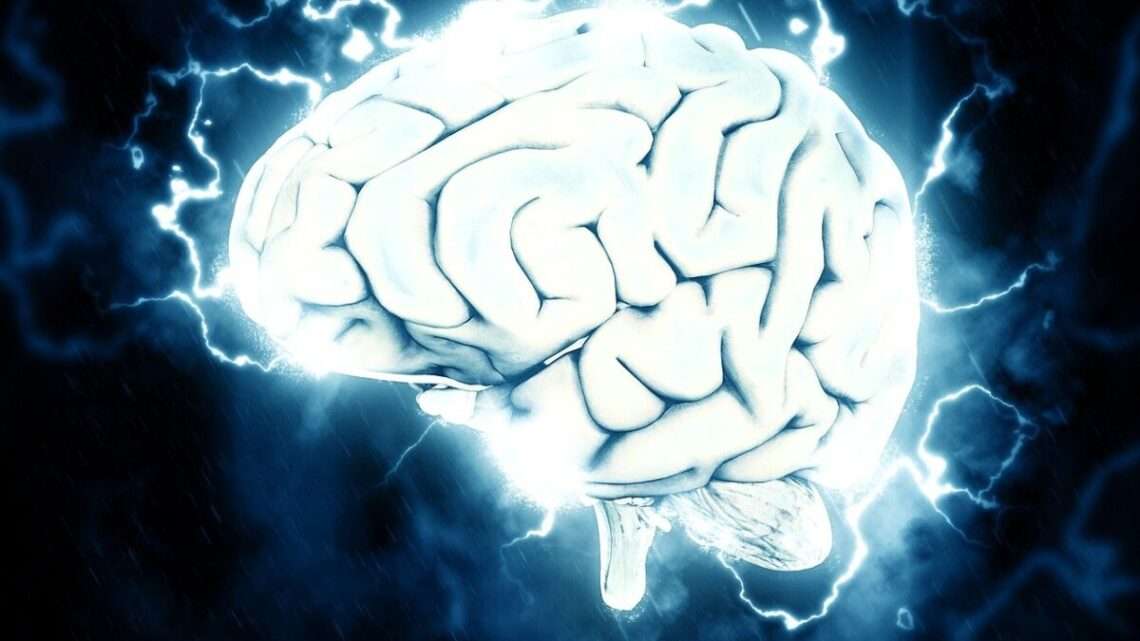 Kvíz: Co víte o svém mozku?