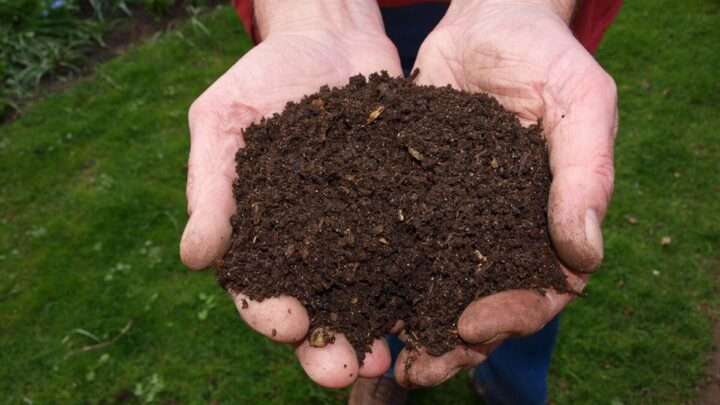 Plzeň bude mít vlastní kompostárnu