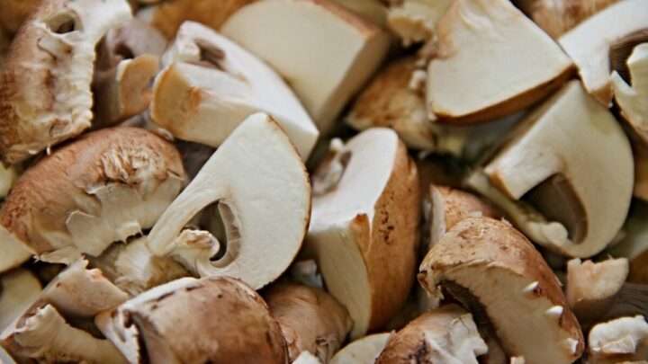 Šumavská houbička: Jak na jednoduché krémové žampiony snadno a rychle