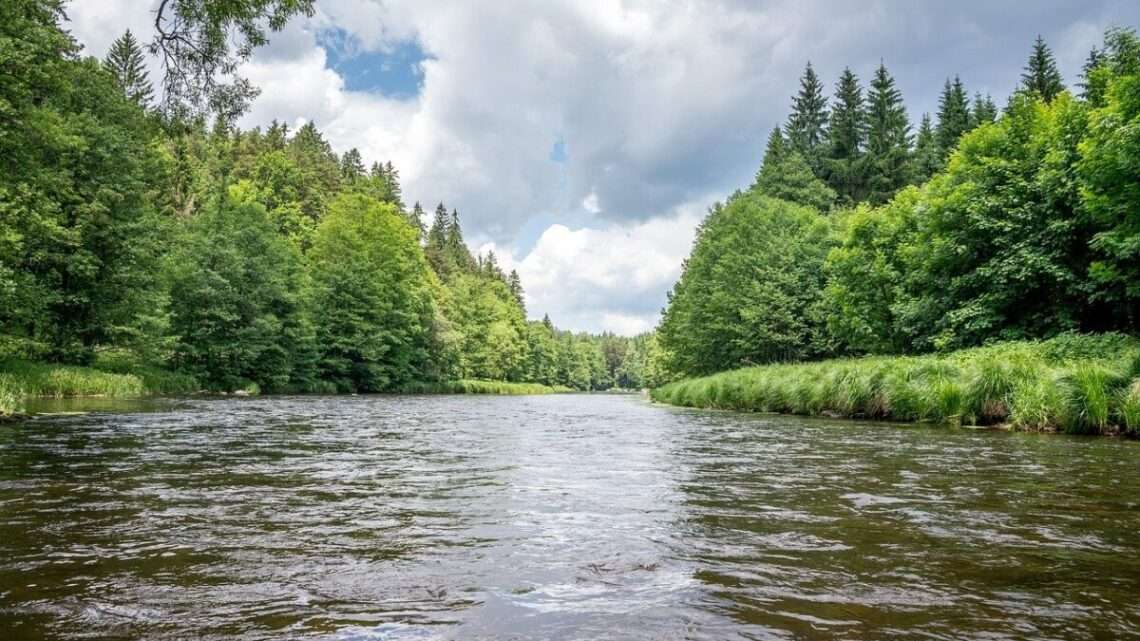 Registrace na splouvání Teplé Vltavy spuštěny. Národní park Šumava chystá i výlety do divočiny