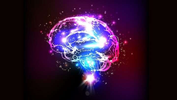 Kvíz: Co víte o svém mozku?