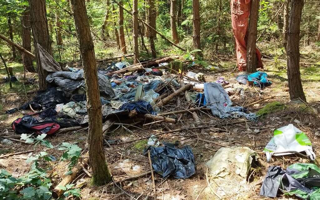 Ohně, odpadky i špatné parkování. Návštěvníci lesů na Plzeňsku se chovají nezodpovědně. Město je vyzývá k ohleduplnosti