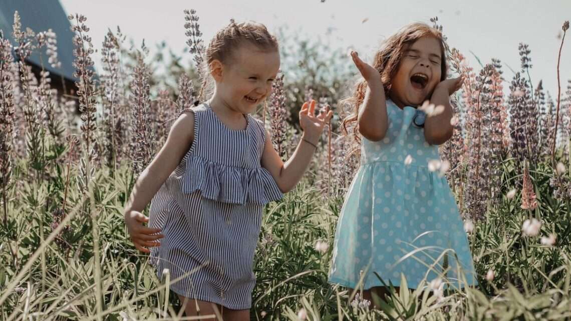 Hledání pokladu, jízda na voru nebo netopýří náramky. Kousek za hranicemi se chystá mlýnská slavnost