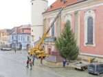 Instalace vánočního stromu na domažlické náměstí, zdroj foto: město Domažlice