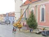 Instalace vánočního stromu na domažlické náměstí, zdroj foto: město Domažlice