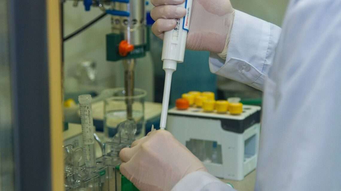Vědci míří do Rokycan. Pod širým nebem budou prezentovat své bádání Vědci míří do Rokycan. Pod širým nebem budou prezentovat své bádání