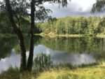 Vranovické jezero, foto: Malin, CC BY-SA 4.0, https://commons.wikimedia.org/w/index.php?curid=109420668